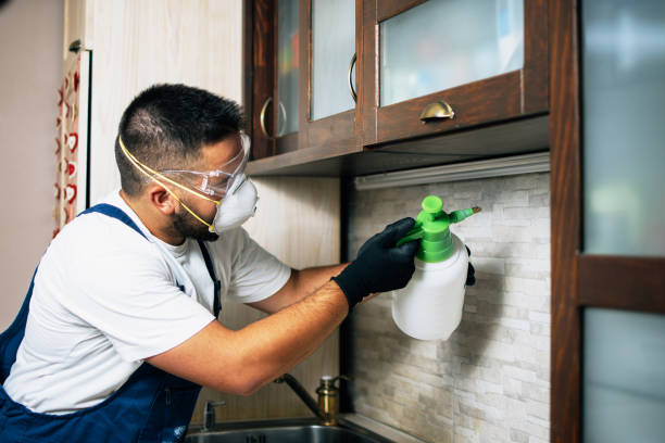 Best Pest Prevention Services  in Lawrenceburg, IN