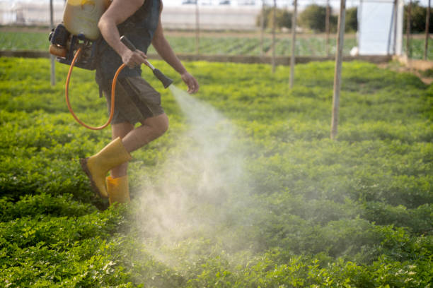 Best Ant Control Services  in Lawrenceburg, IN