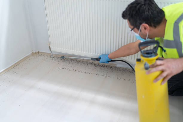 Pest Control for Restaurants in Lawrenceburg, IN